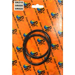 O-Ring for Pump Lid suits Neptune NPP550, NPP750, NPP100 & NPVS150 Pool Pumps - OR920M