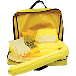 Chemical Spill Kit - includes absorbent pads & socks, gloves, goggles, mask